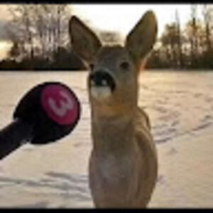 Meet your Posher, Alt